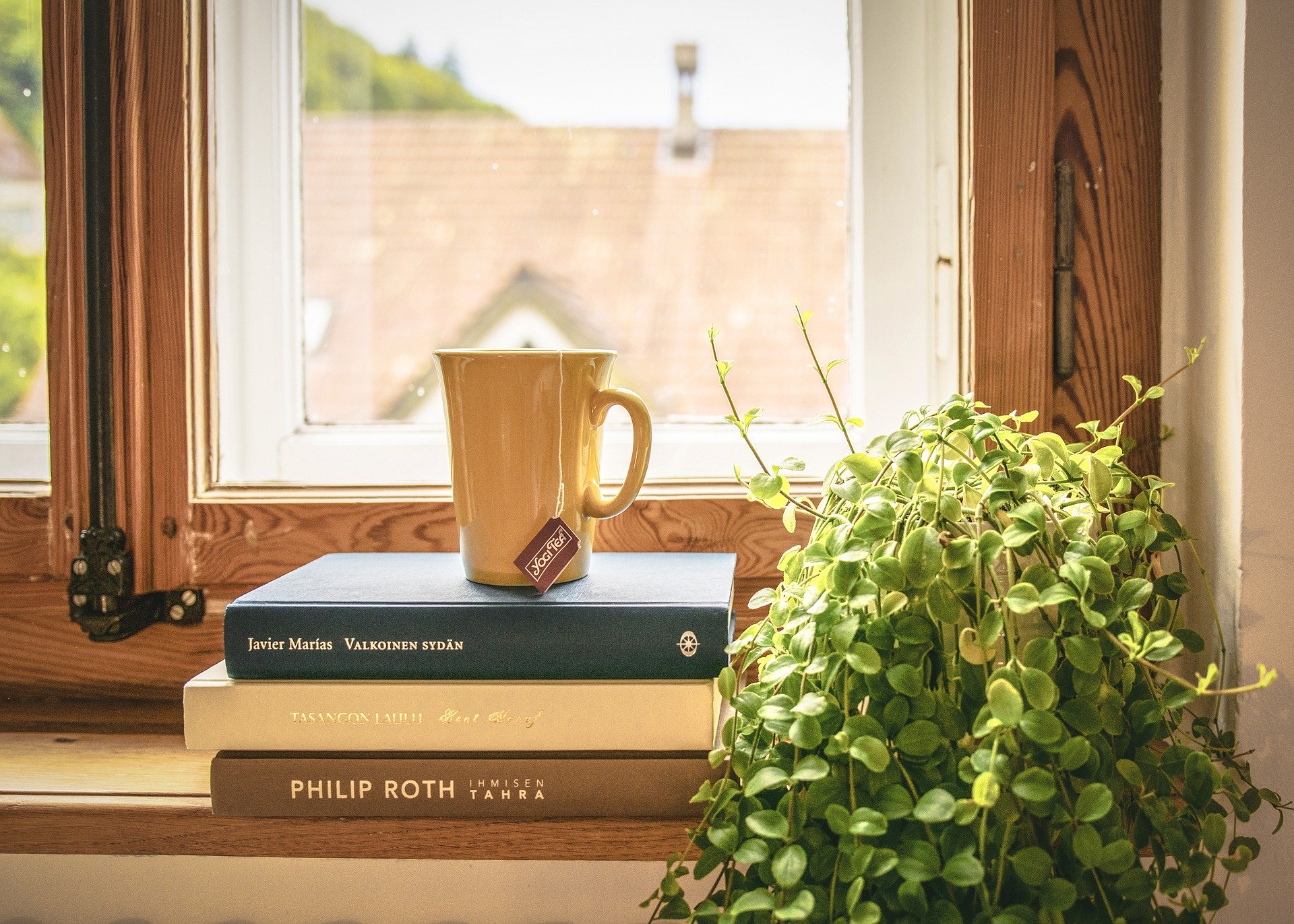book tea and plant in window