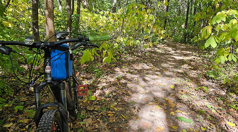 Mountain bike leaning against tree on trail.