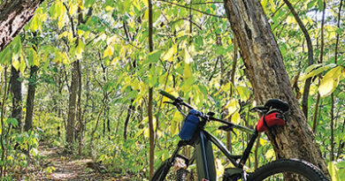 Mountain bike leans against tree on Hidden Valley Park Trail in Kansas City, Missouri.