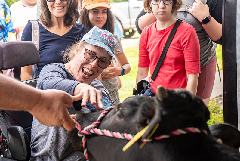 Fulfillment House associates pet a cow during a Shatto Milk Company farm tour. 