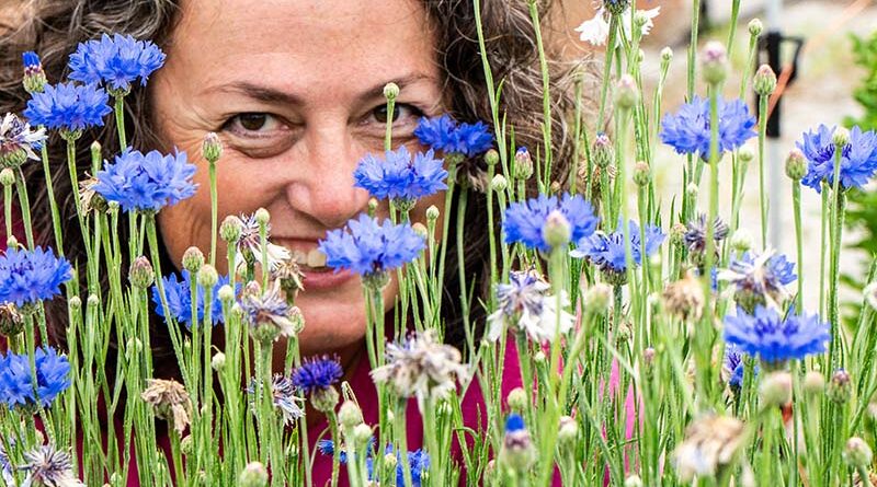 Michele Vaughan peers through a group of flowers