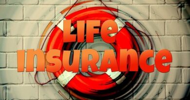A life preserver hanging on a brick wall with the term Life Insurance superimposed in front.
